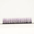 Ombre Color Collection 0.05