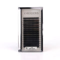 U LASH Collection