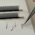 Fairy Lash